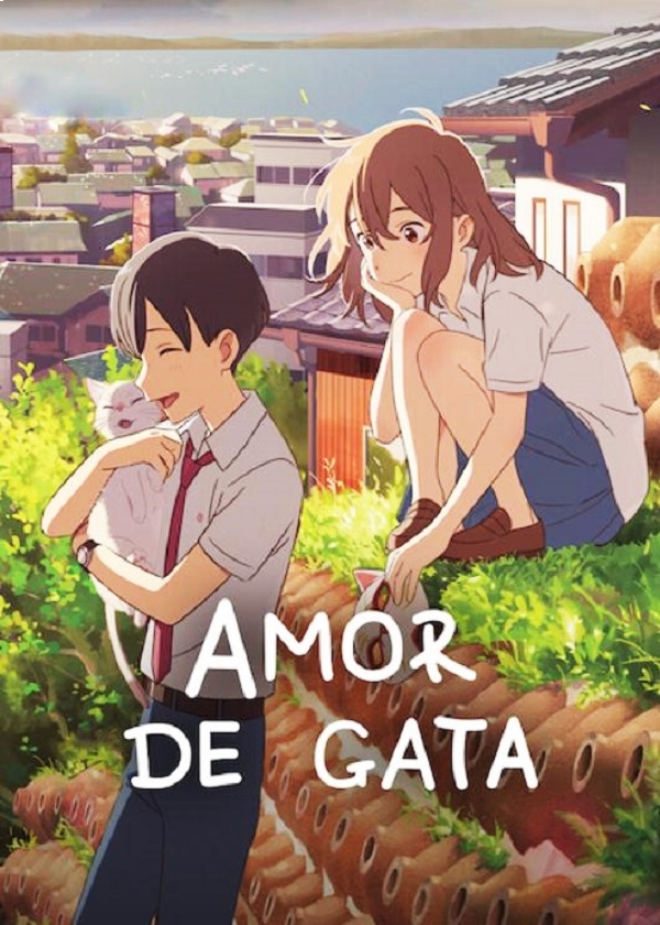 AMOR DE GATA