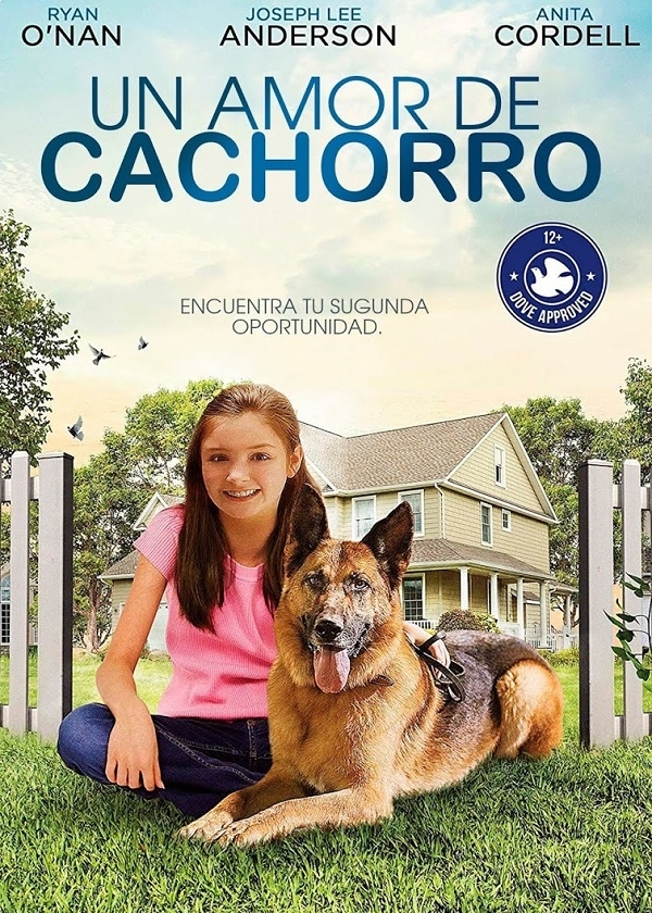 UN AMOR DE CACHORRO