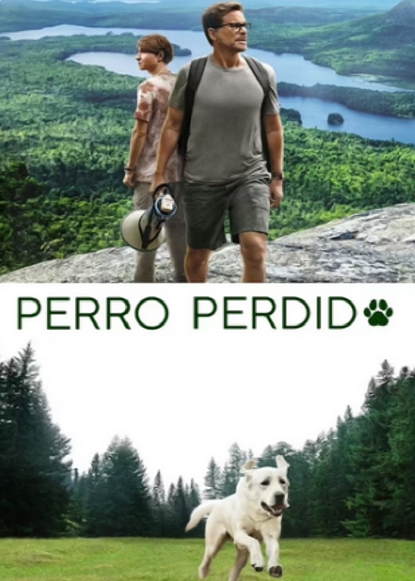 PERRO PERDIDO