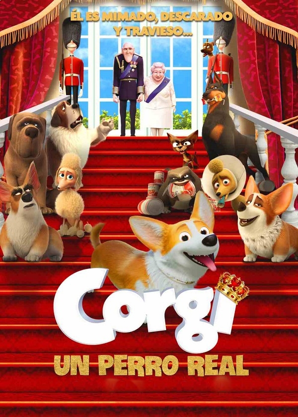 CORGI - UN PERRO REAL